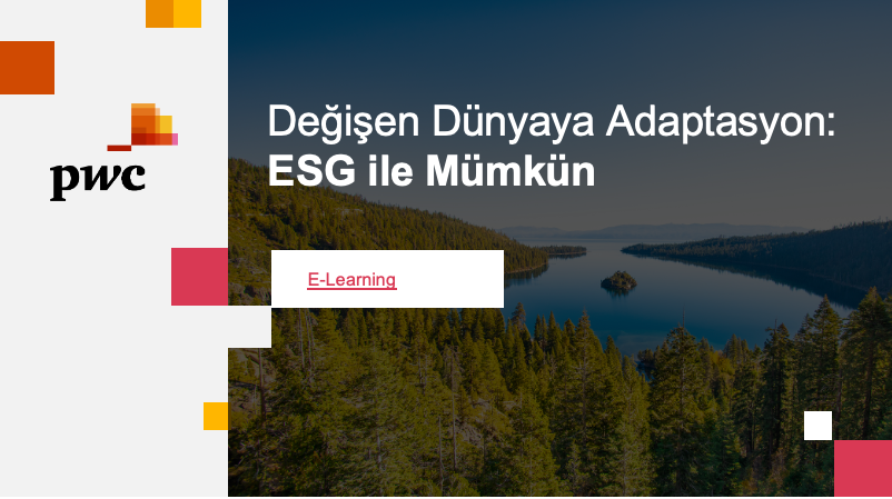 Değişen Dünyaya Adaptasyon ESG ile Mümkün